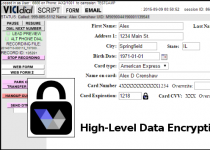 High-Level Data Encryption